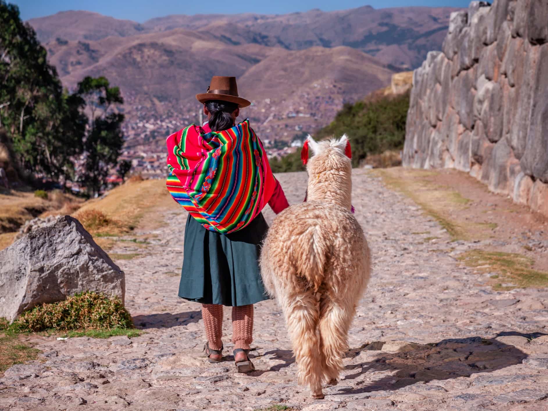Peruvian woman wearing national clothing walking with llama near Cuzco in Peru.