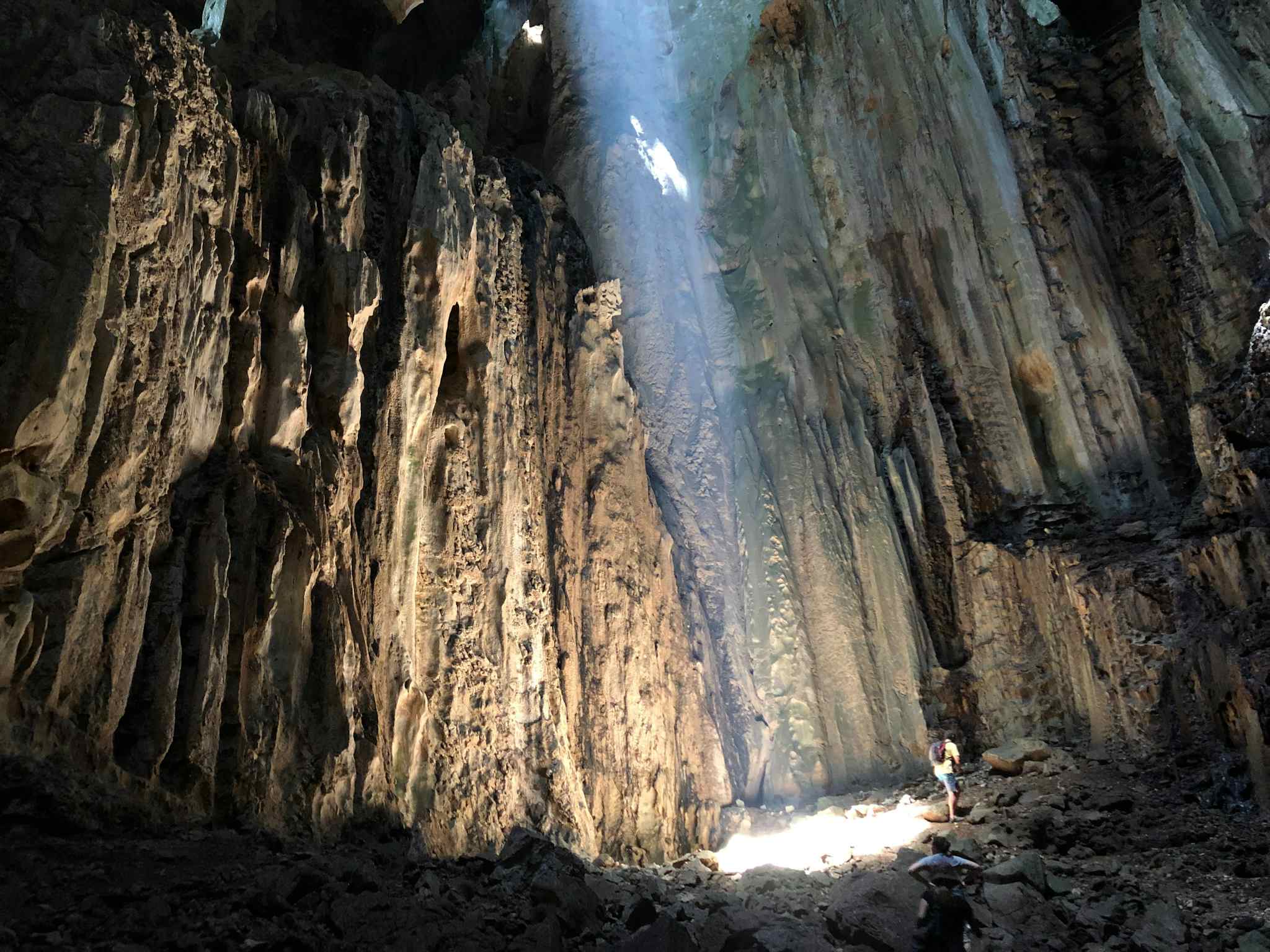 Jade Cave, Wildlife Adventure in the Jungles of Borneo