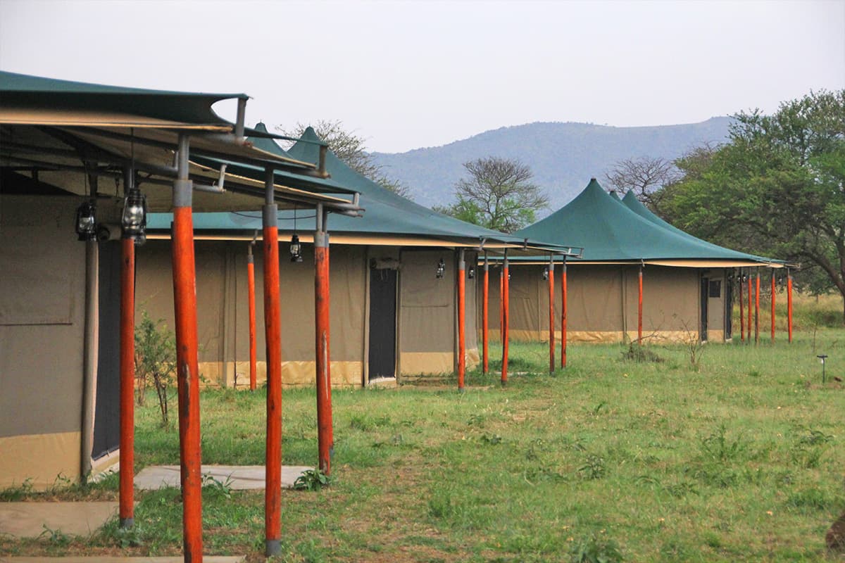 Robin Safari Camp, Serengeti, Tanzania.