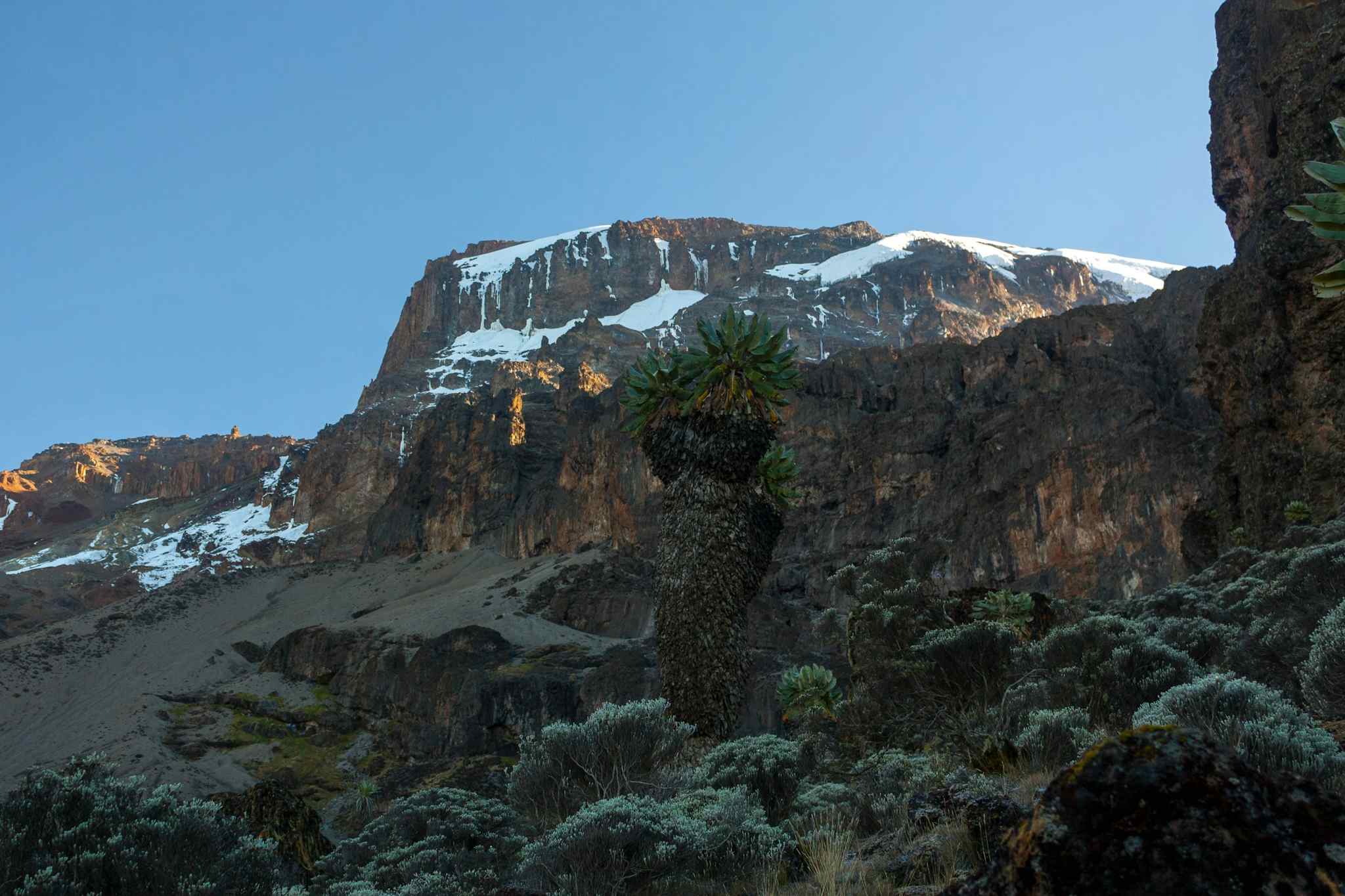 The Barranco Wall, Mount Kilimanjaro, Tanzania