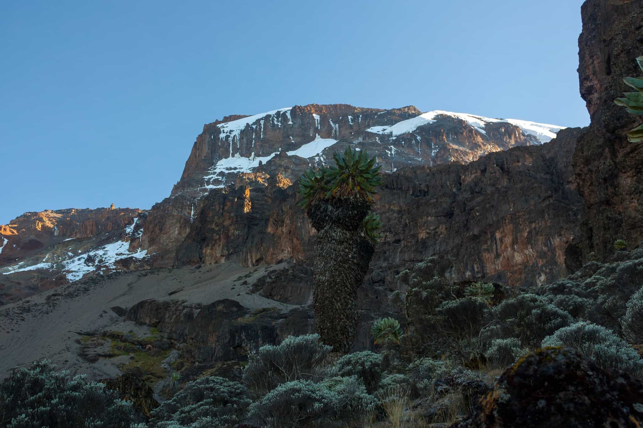 The Barranco Wall, Mount Kilimanjaro, Tanzania