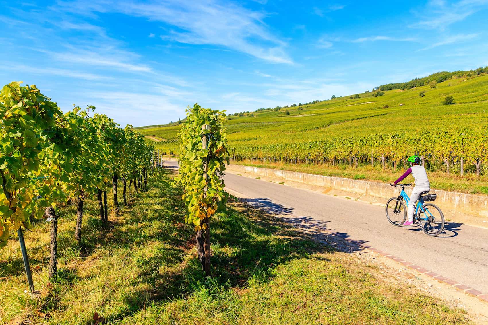 Young woman cycling on road through vineyards, France