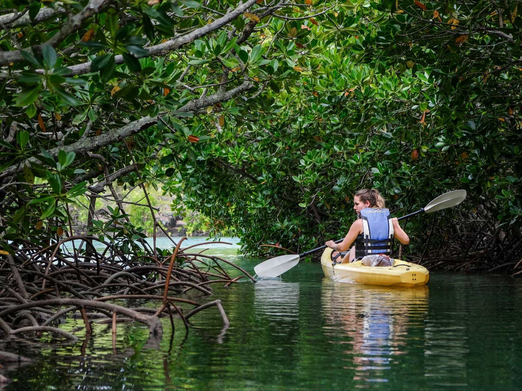 Kayaking Amber Island, Mauritius. Photo: Host/Mauritius Conscious