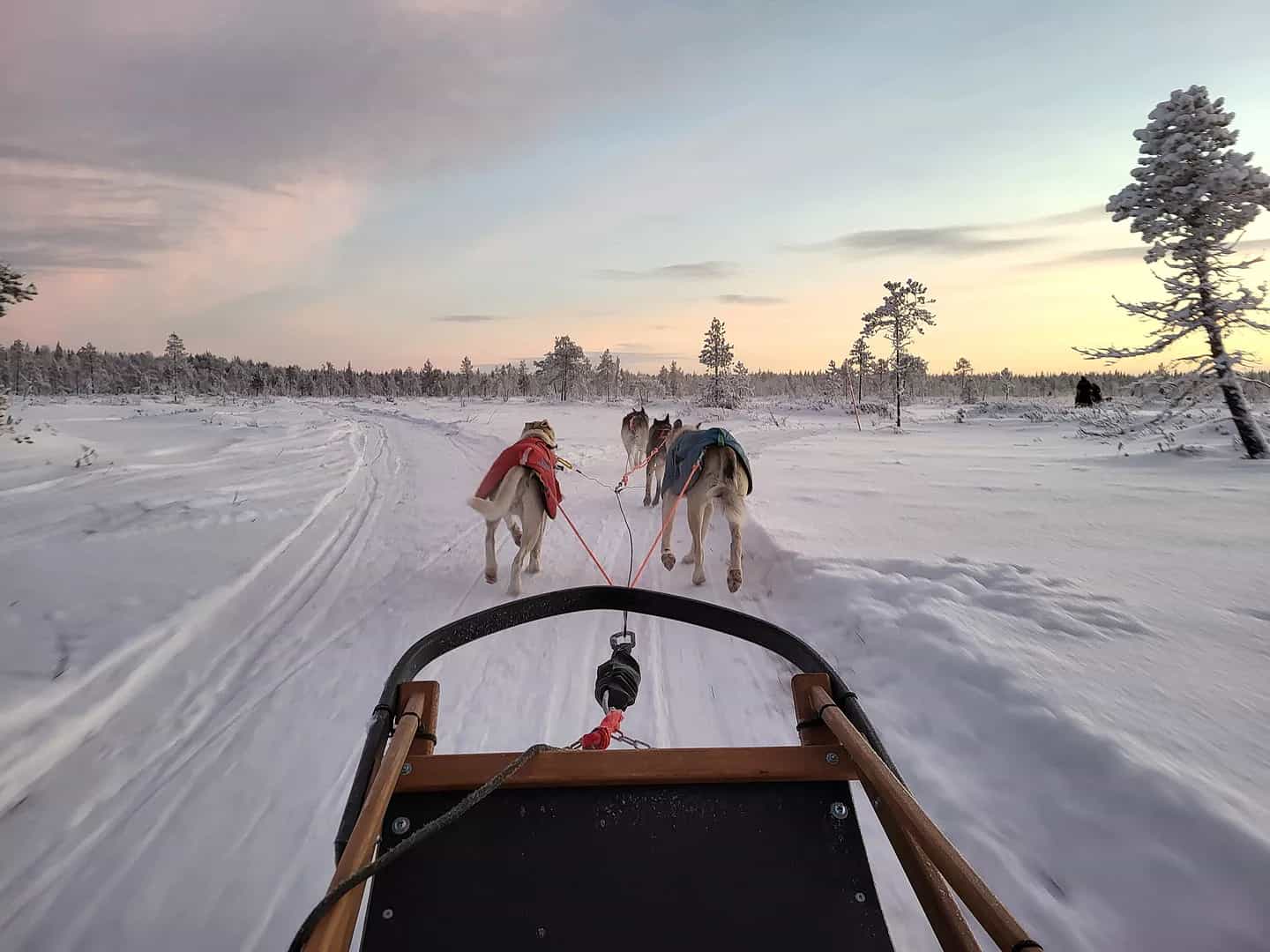 Husky sledding from the POV of the musher in Finland.