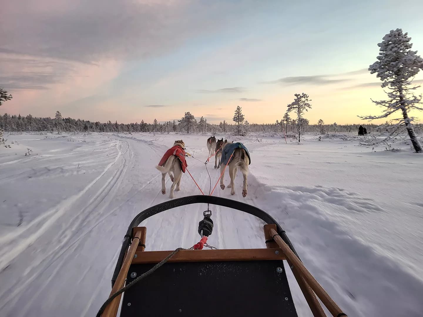 The Ultimate Arctic Adventure in Finnish Lapland