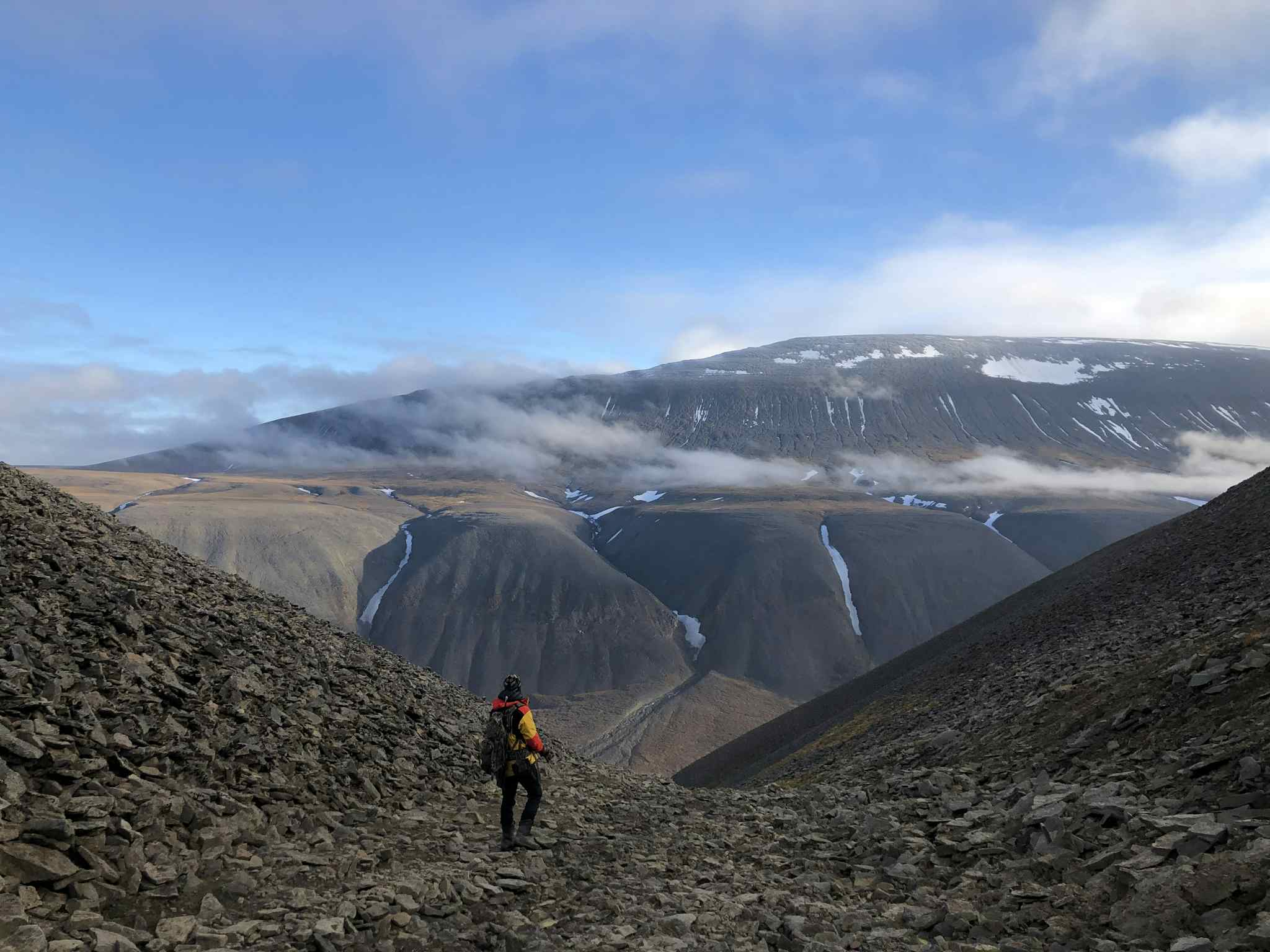 Hike to Fuglefjella bird cliffs, Svalbard Wildlife Expeditions