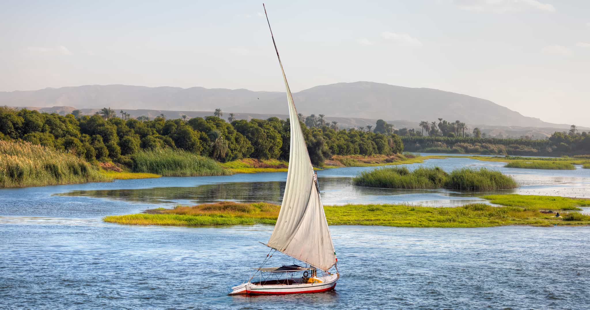 shutterstock 2494990711