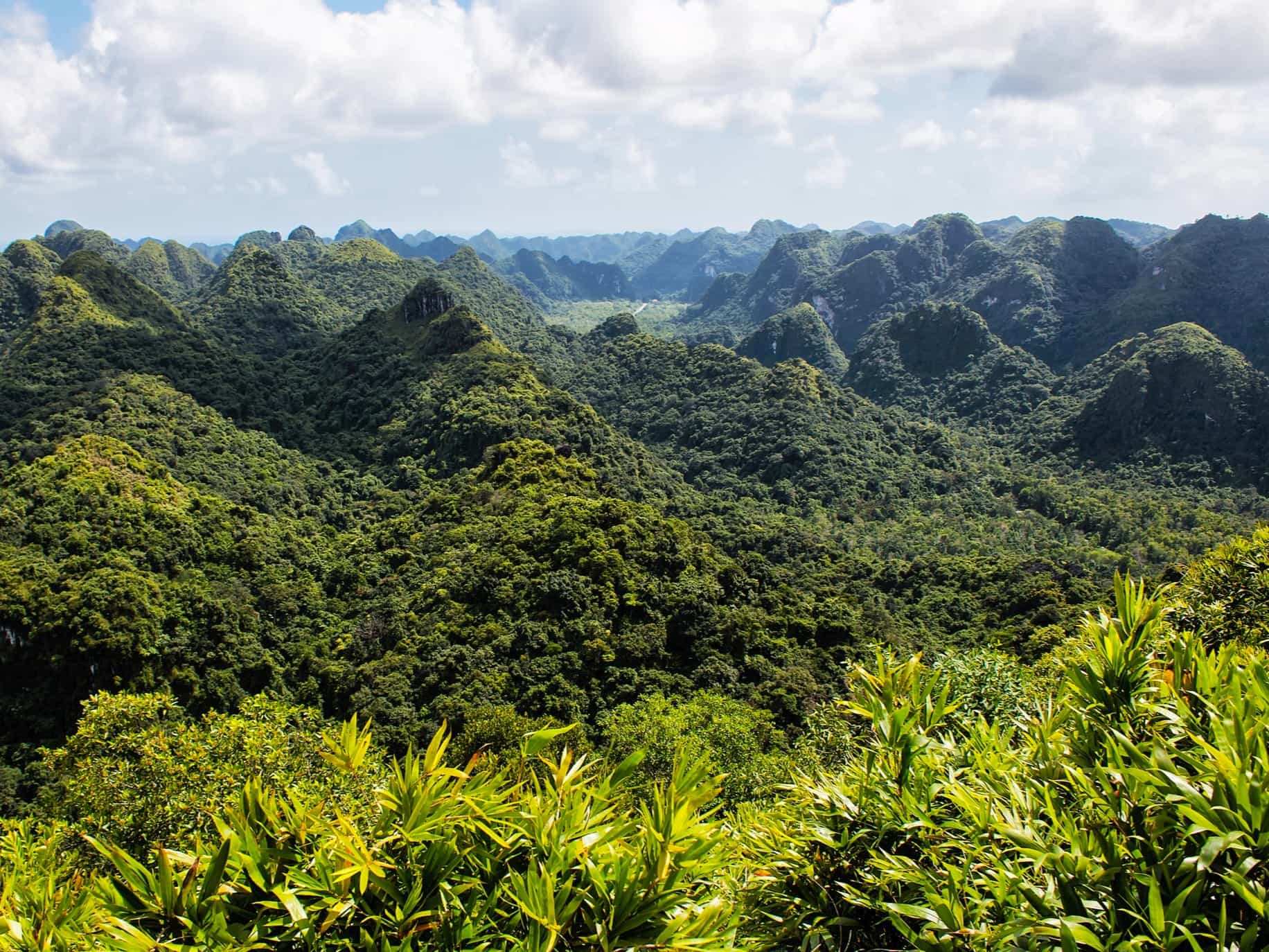The rolling hills of Cat Ba Island in Vietnam