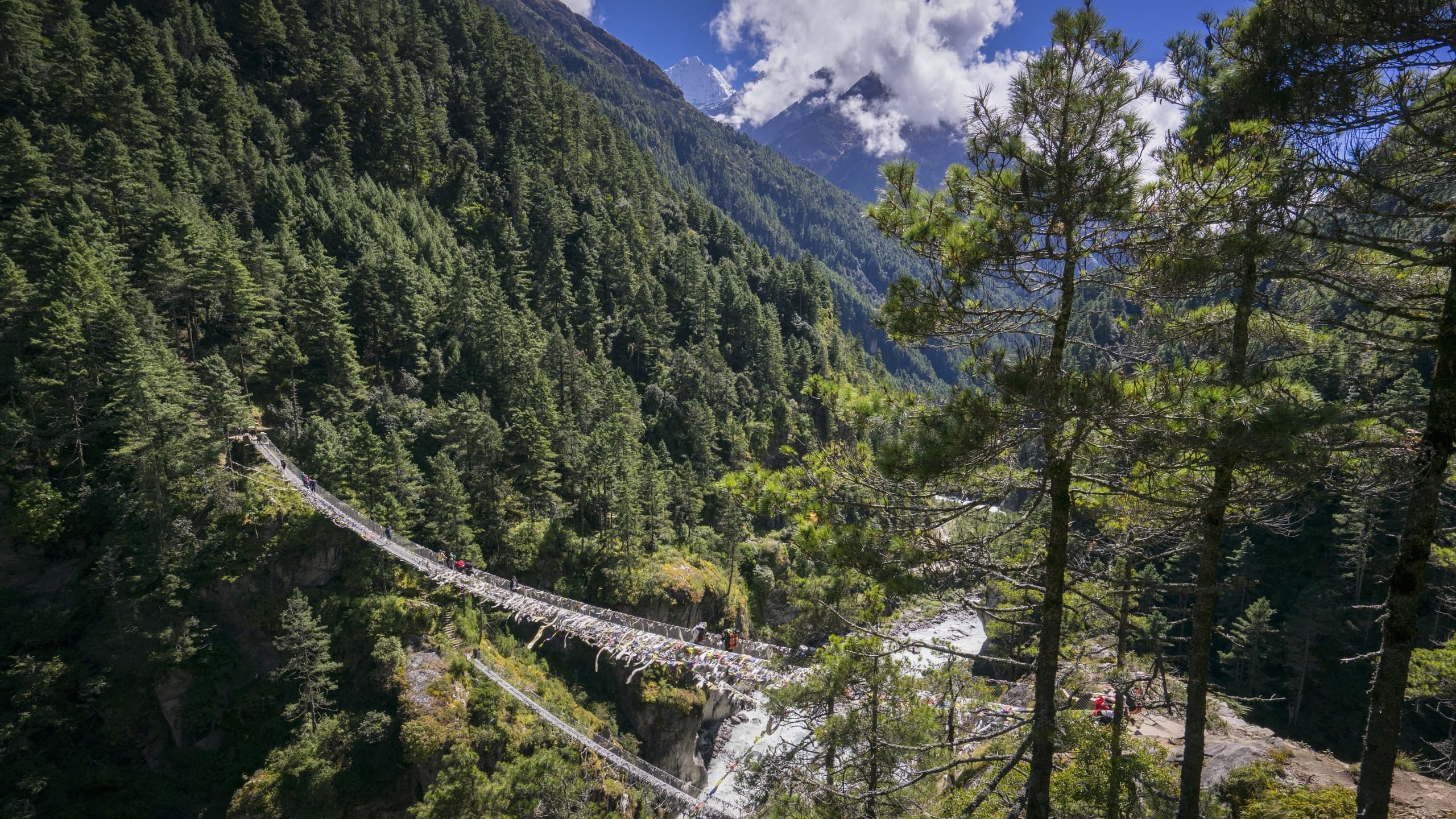 Suspension Bridge, Nepal