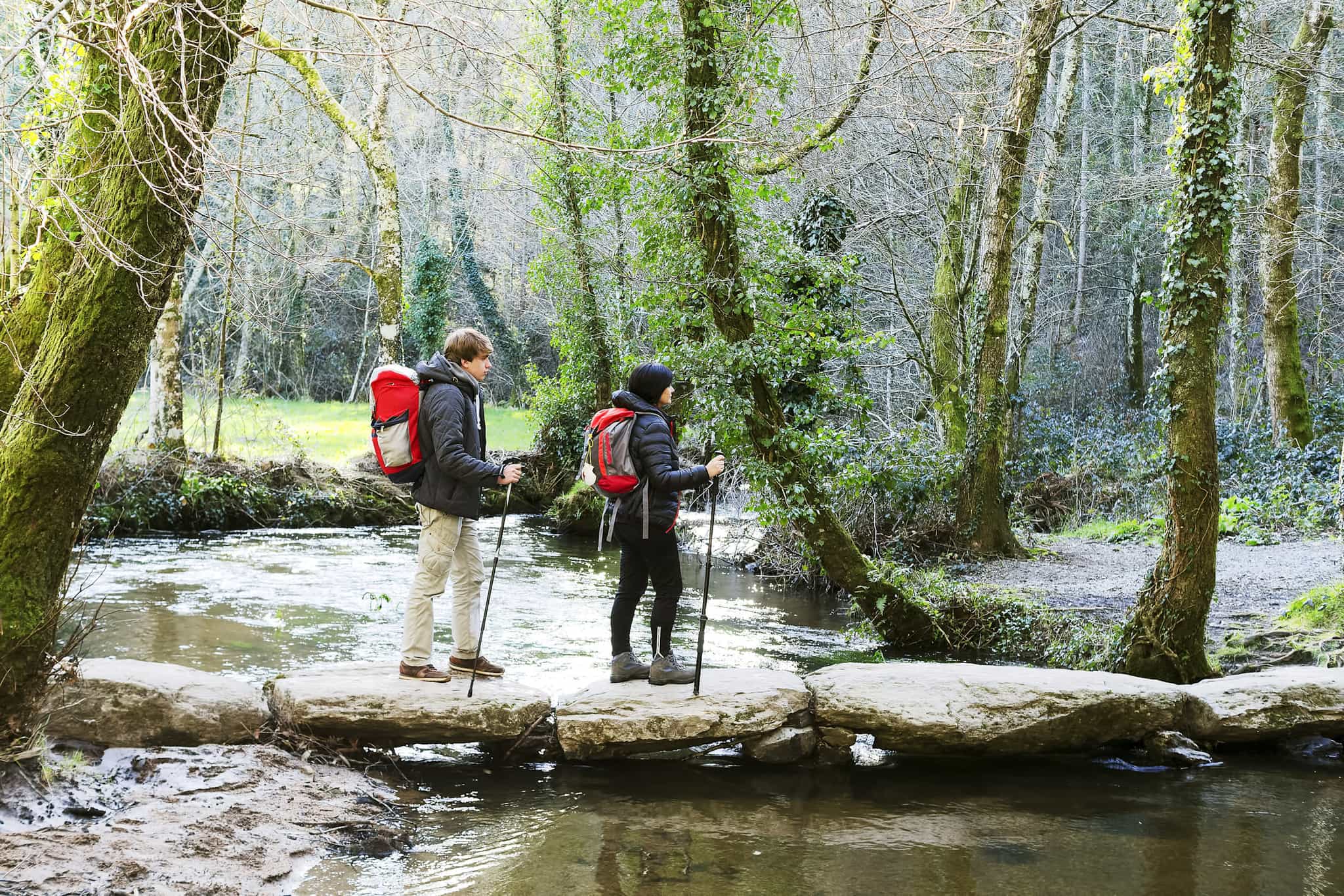 Hikers on the Camino Frances near Palas de Rei, Galicia, Spain.