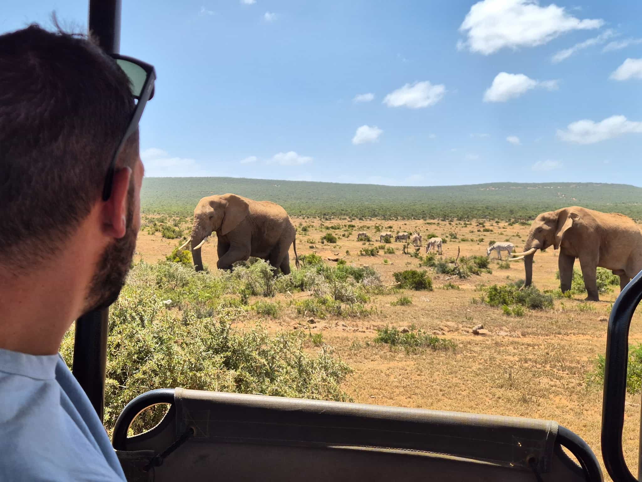 Game drive in Addo National Park, Eastern Cape, South Africa.