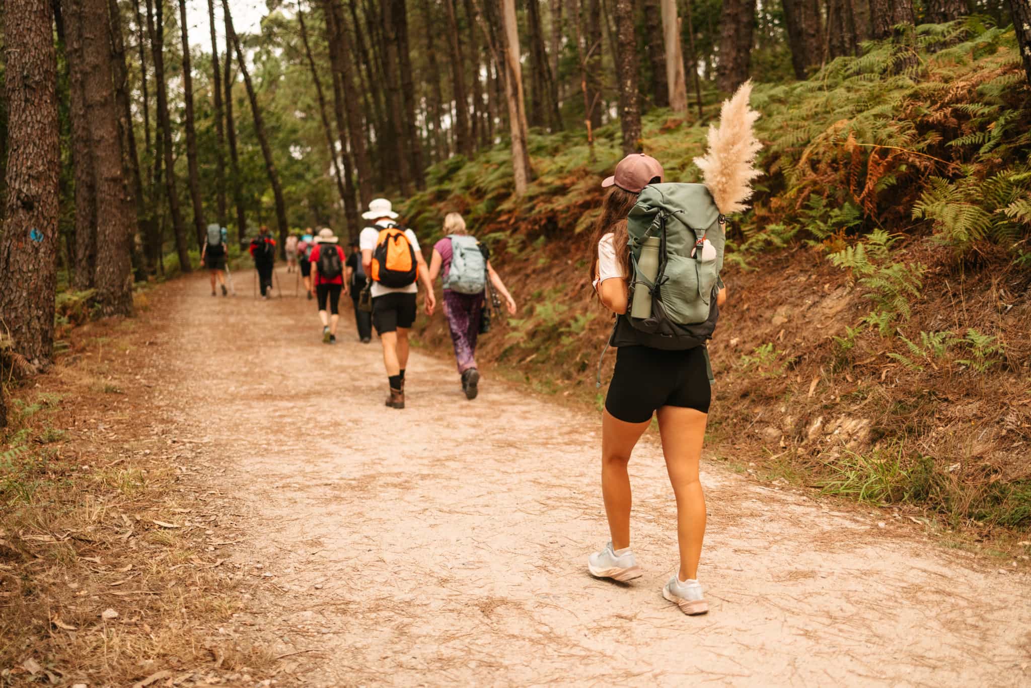 Hikers on the Camino de Santiago, Spain.