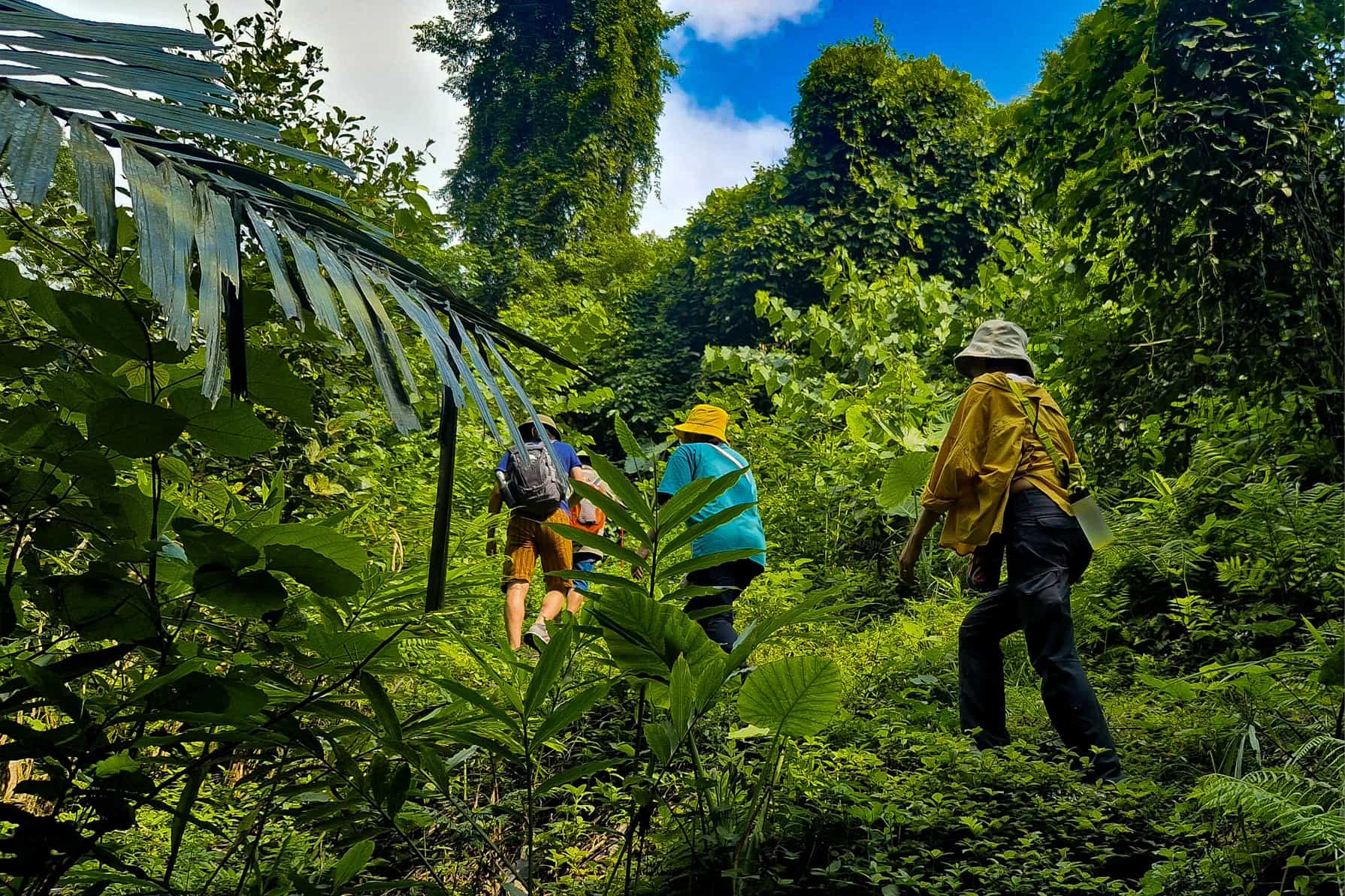 HOST - Hikers walk green landscape of Vietnam's Ba Be National Park. Photo: Host/Easia Active