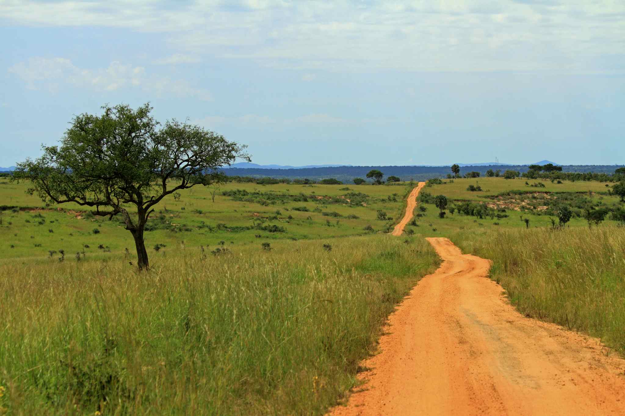 Road, Savanna, Uganda Cycling, Getty
