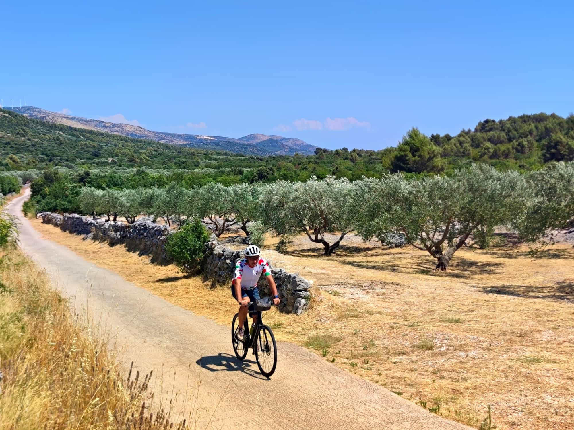 Cycling through Olive Groves, Croatia