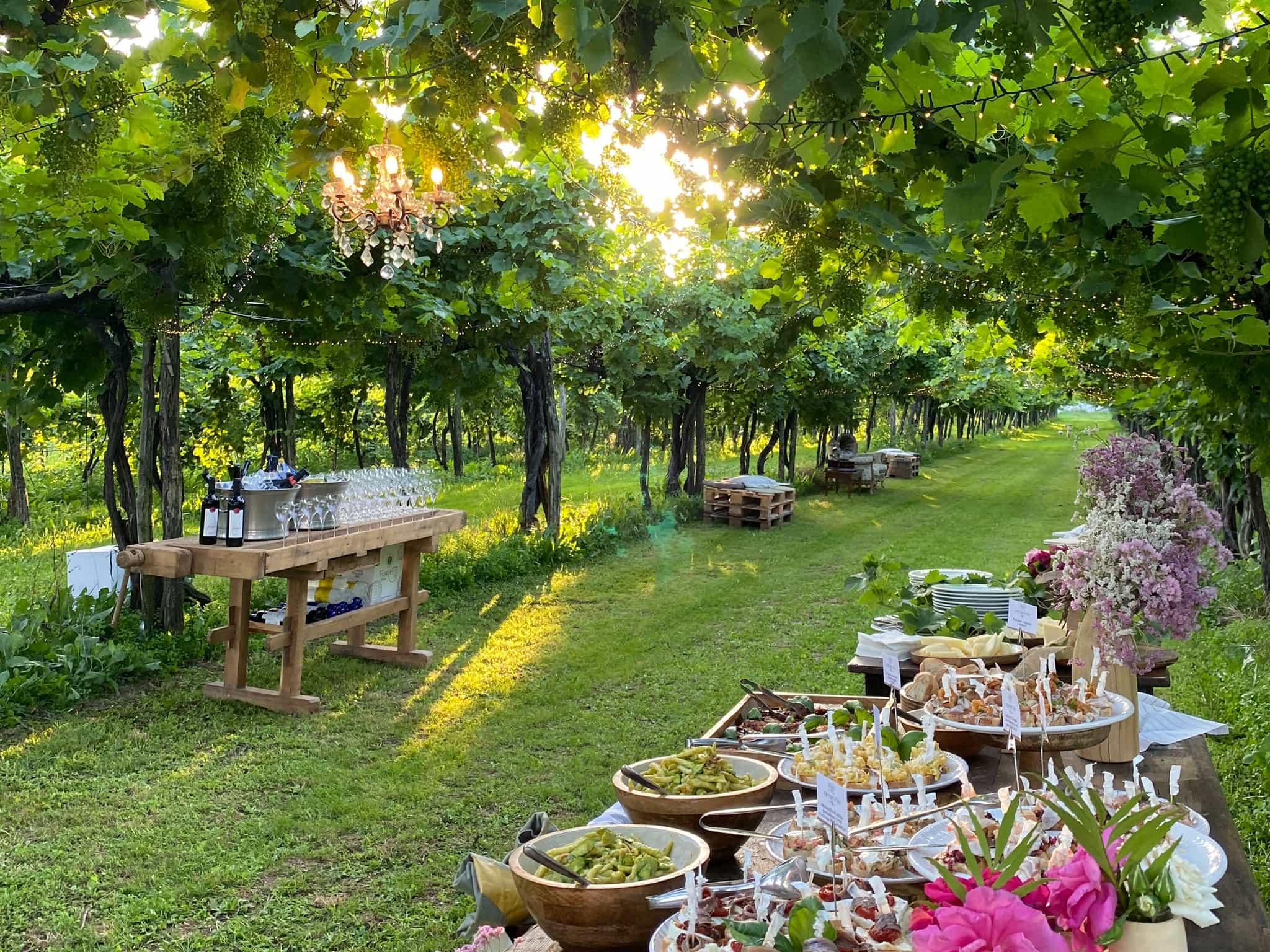 Buffet in the vineyard at Fiorotto winery, italy