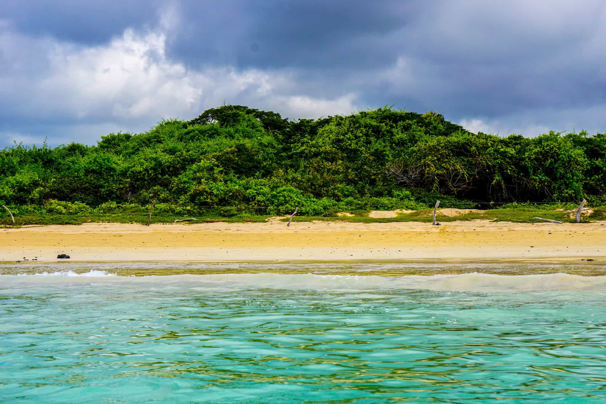 Beautiful Garrapatero beach in Galapagos. Santa Cruz island