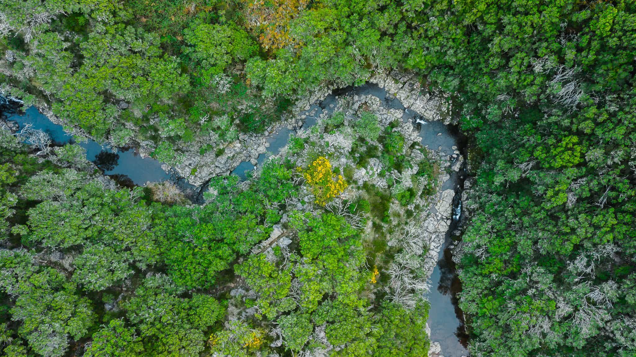 Aerial view of Madeira forests, Getty
