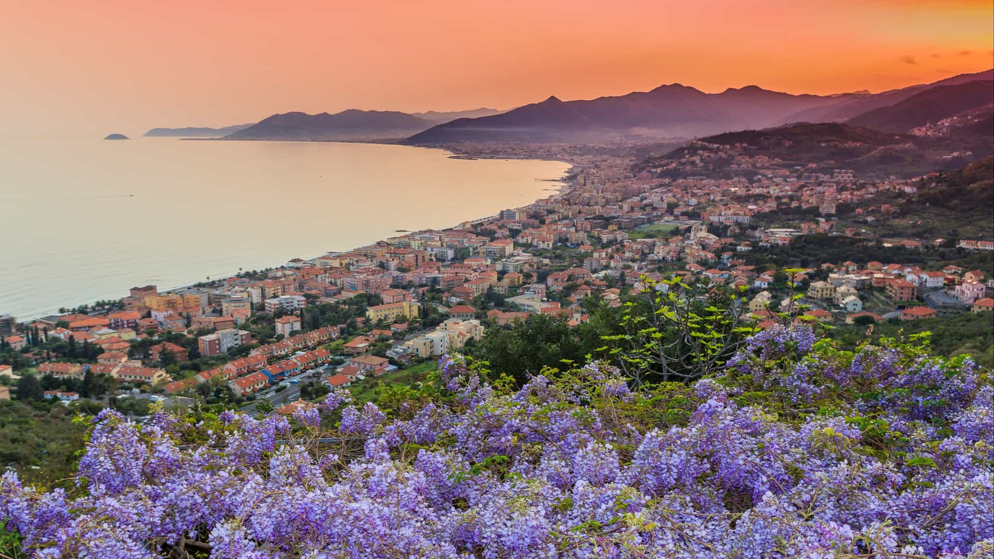 Orange sunset over the Ligurian Sea with wisteria in the foreground, Italy