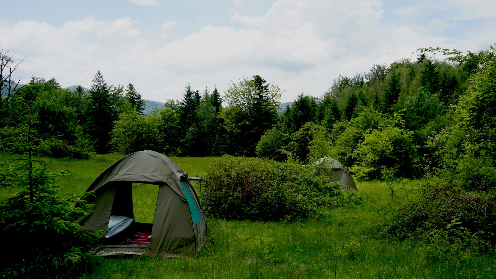 Safari camping in Romania's Tarcu Mountains