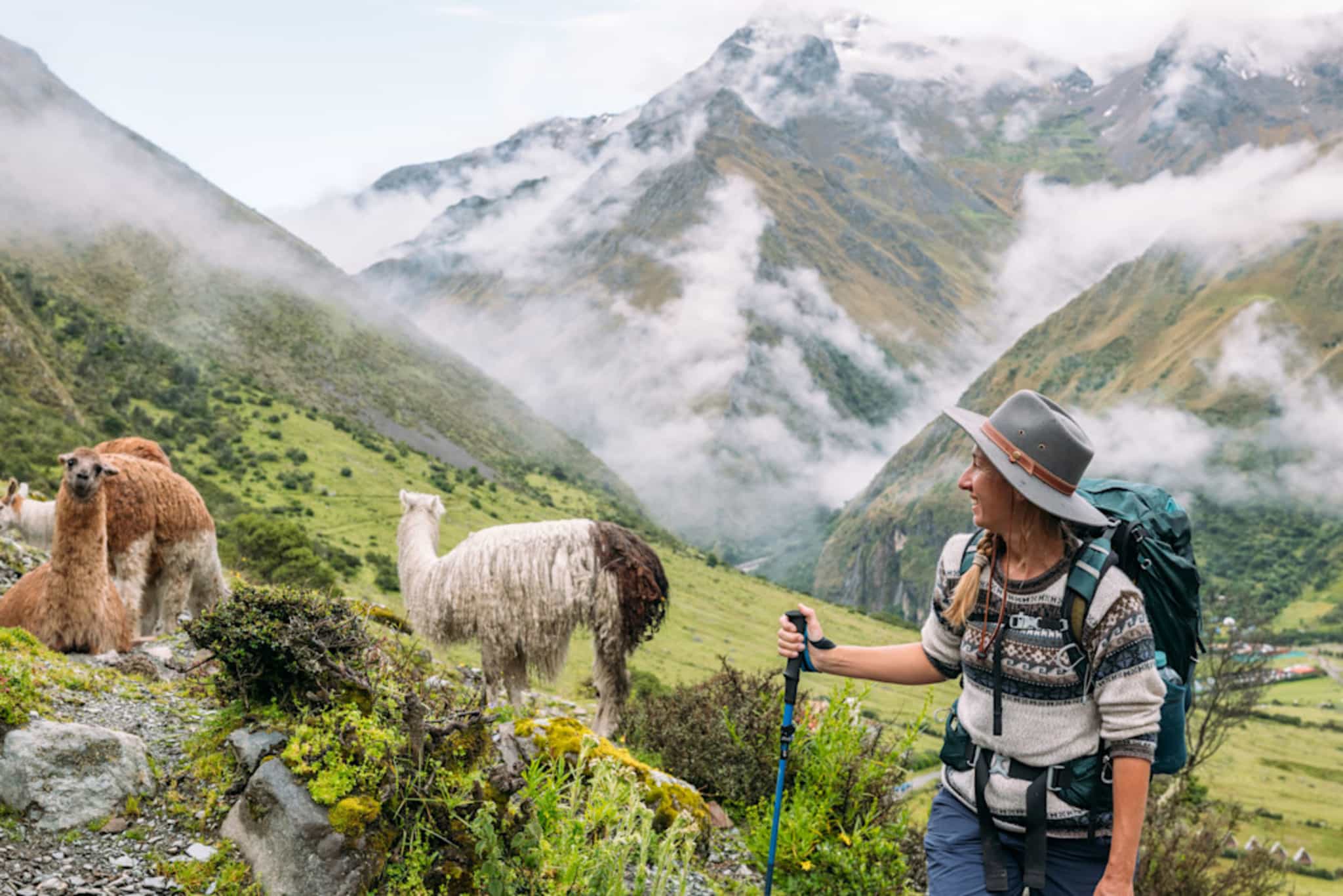 Hiker passing llamas on the Salkantay Trail
