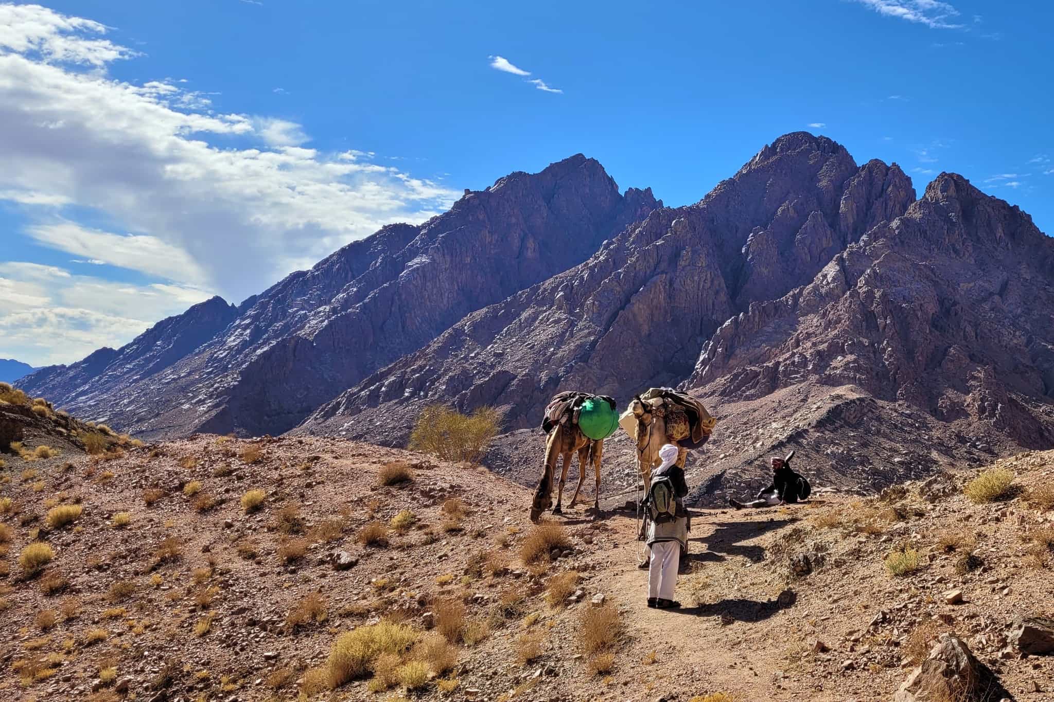 Camels and their guides in the Telah Braika gorge, with Jebel Um Shomer in the background, Sinai Desert, Egypt