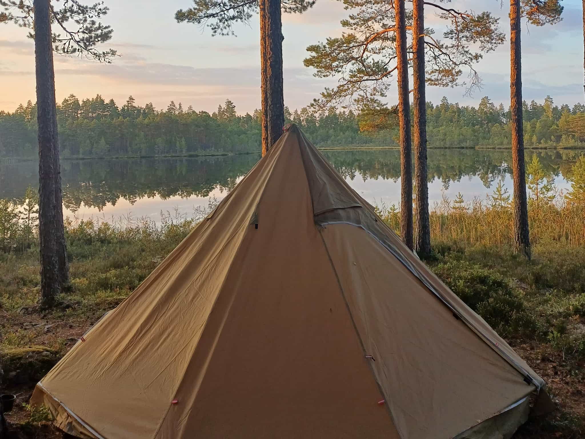 Going Off-Grid in Sweden's Forests