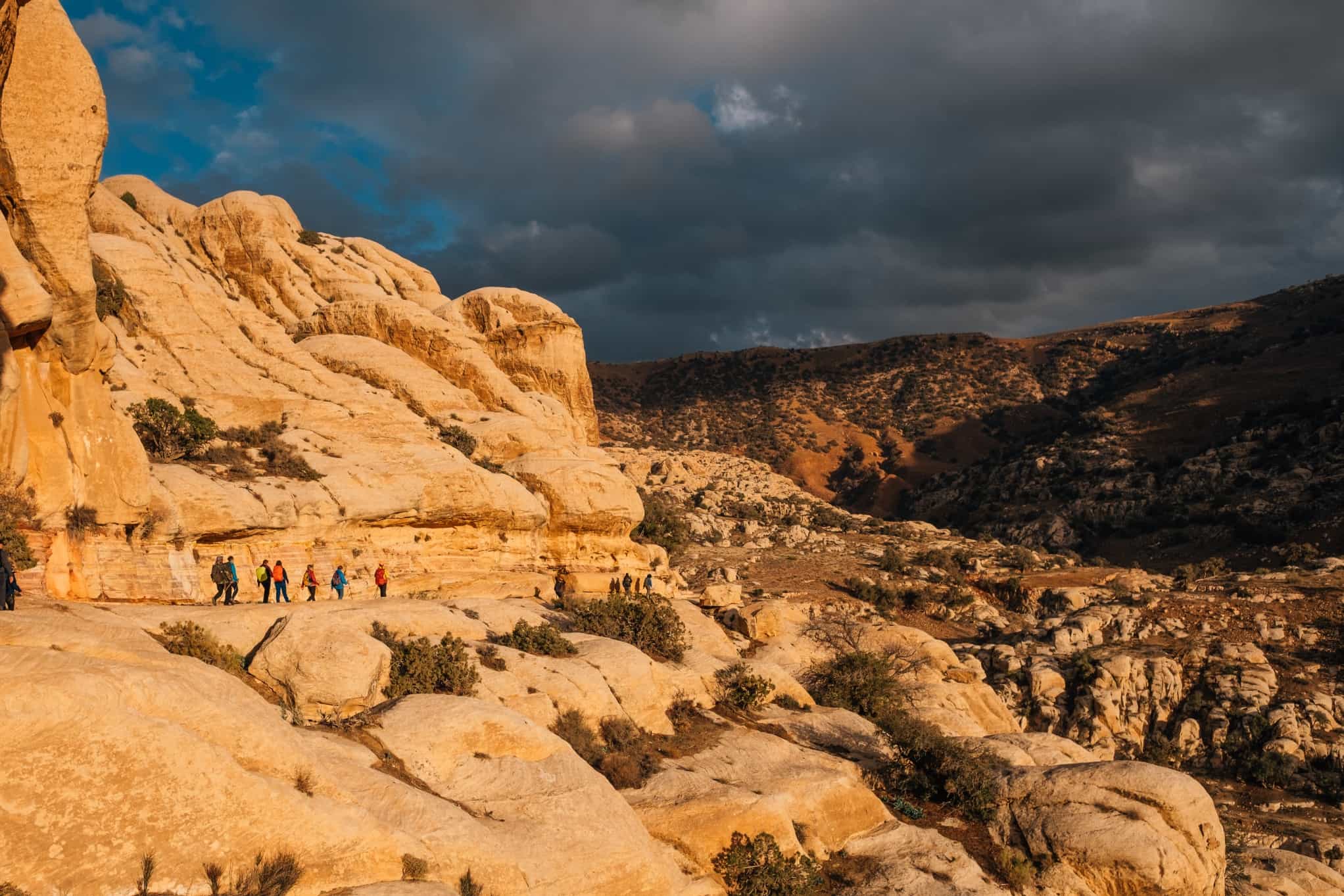 Dana Reserve, Jordan. Photo: Commissioned/Tom Barker