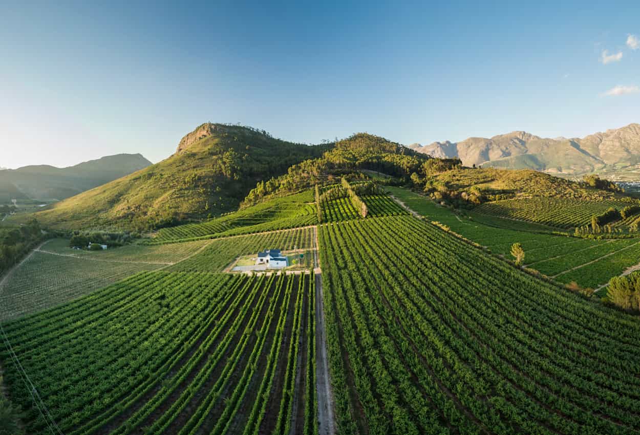 Winelands landscape, South Africa.