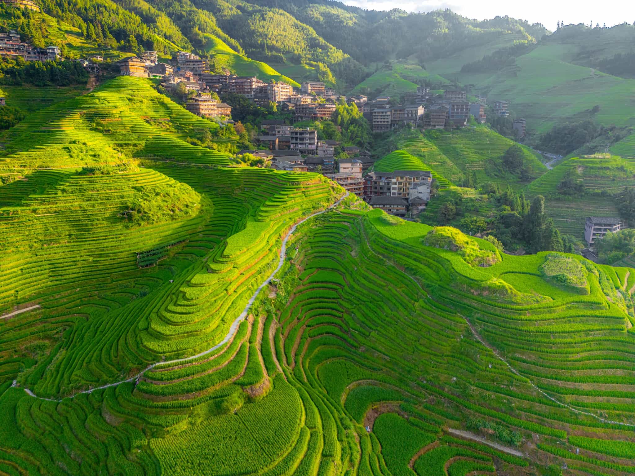 Longji terraces, China. Photo: shutterstock 2597293543