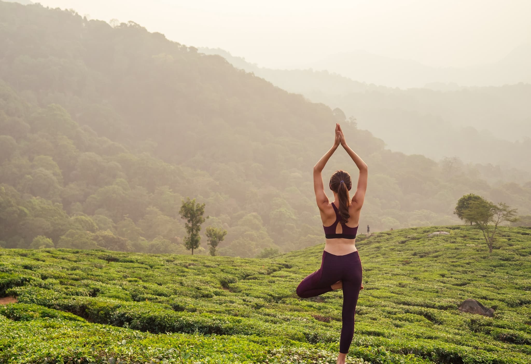 Premium: Hiking and Yoga in Kerala