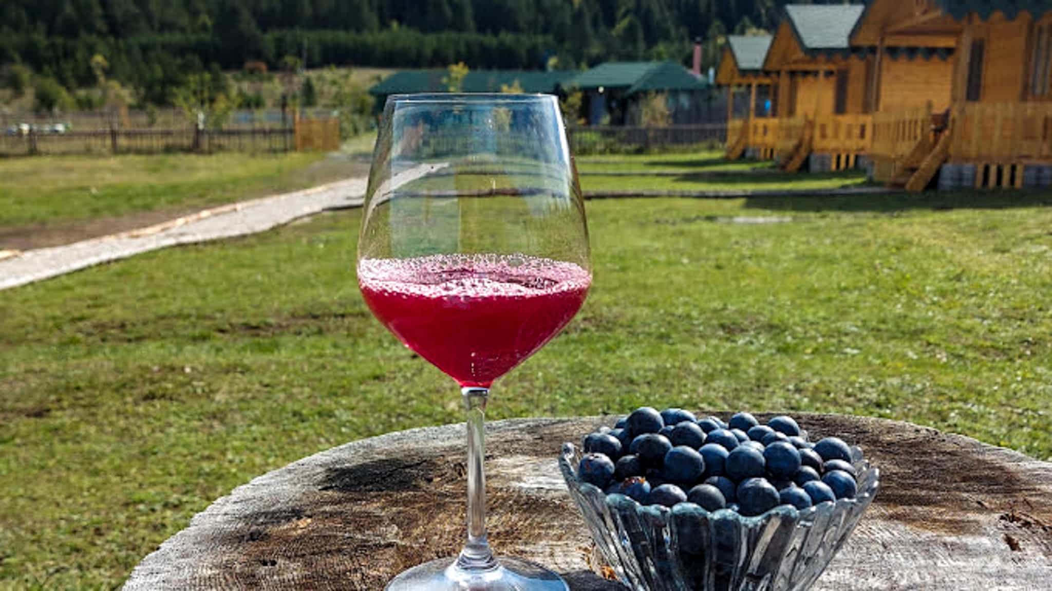 Fresh juice at Camping Farm Shelegur, Sotire, Albania Photo: Host/Zbulo Discover Albania