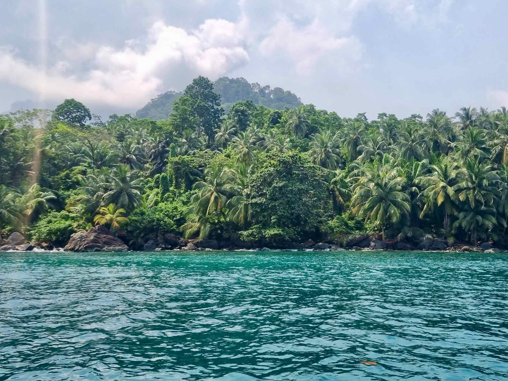 Coastline and palms of Principe Island. Photo: Marta Marinelli