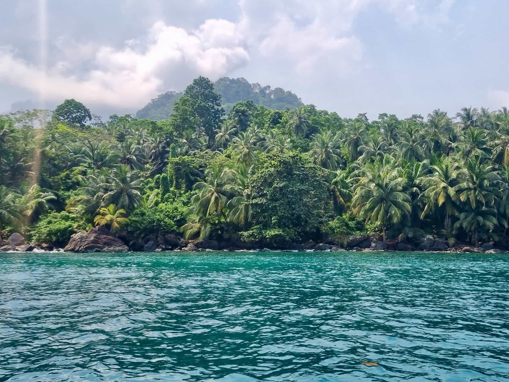 Coastline and palms of Principe Island. Photo: Marta Marinelli