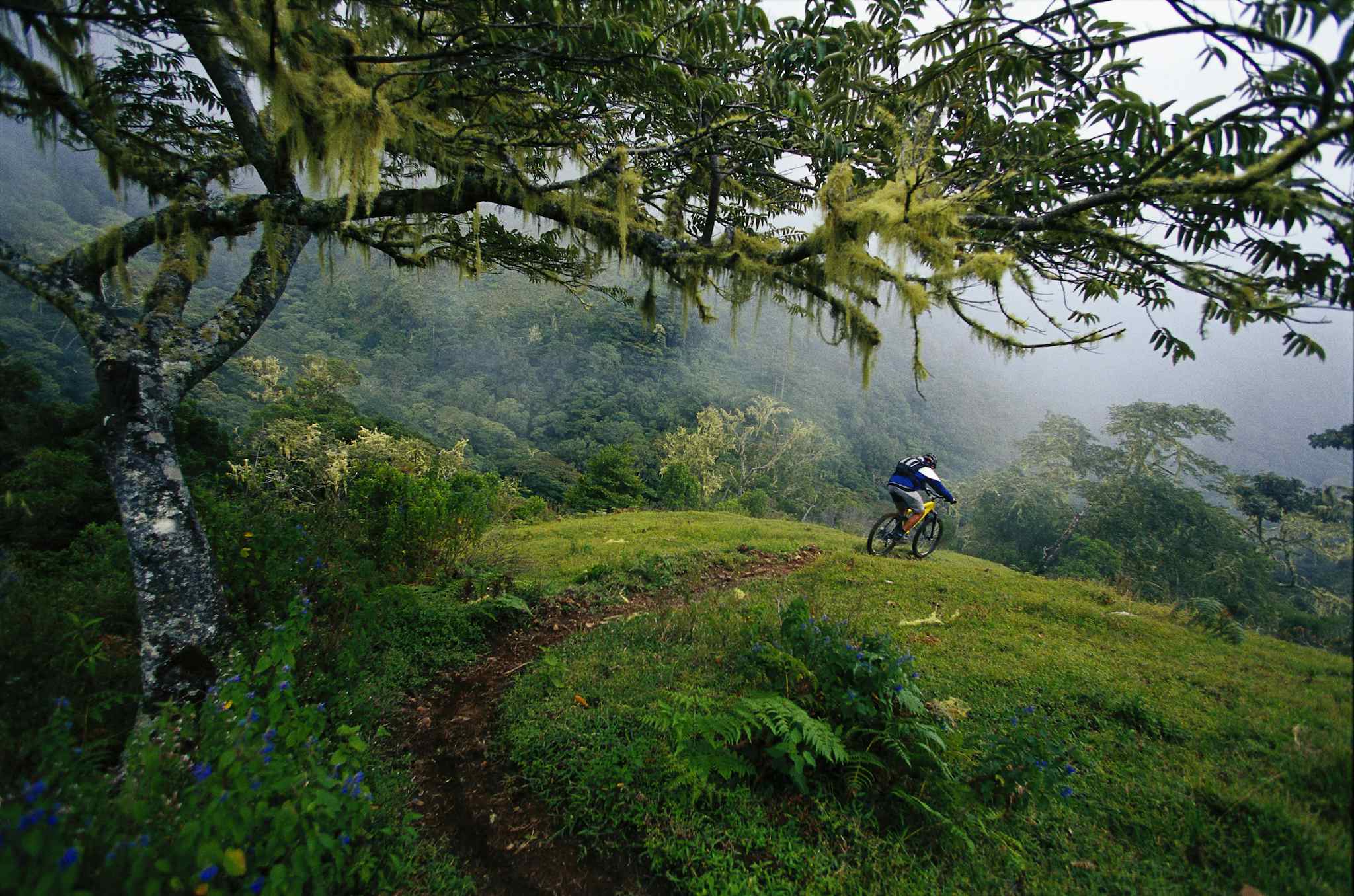 A man riding a downhill mountain bike trail in Costa Rica