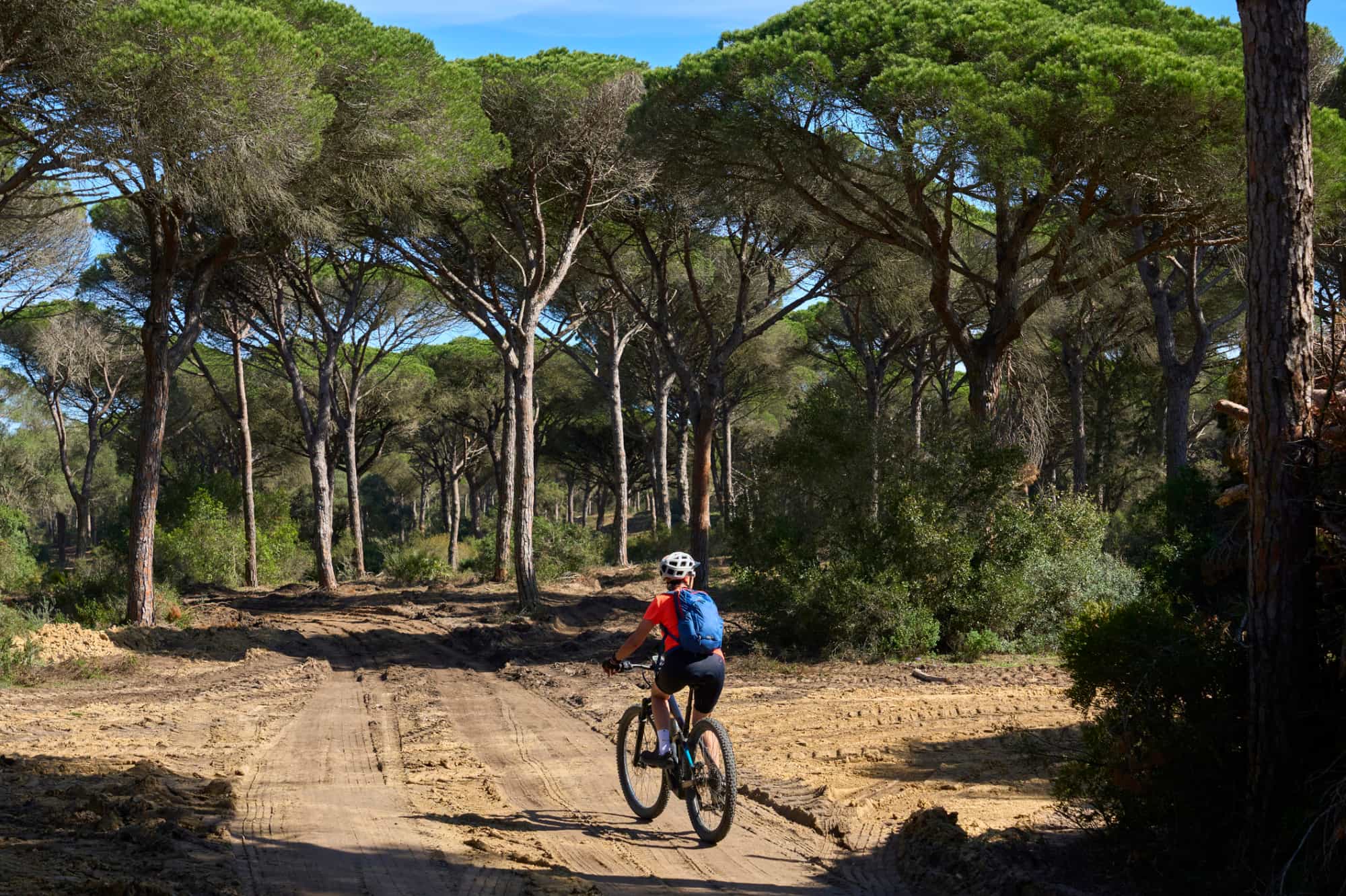 Happy senior woman cycling with her electric mountain bike in the pine forest of Cape Trafalgar, Costa de la Luz, Andalucia, Spain