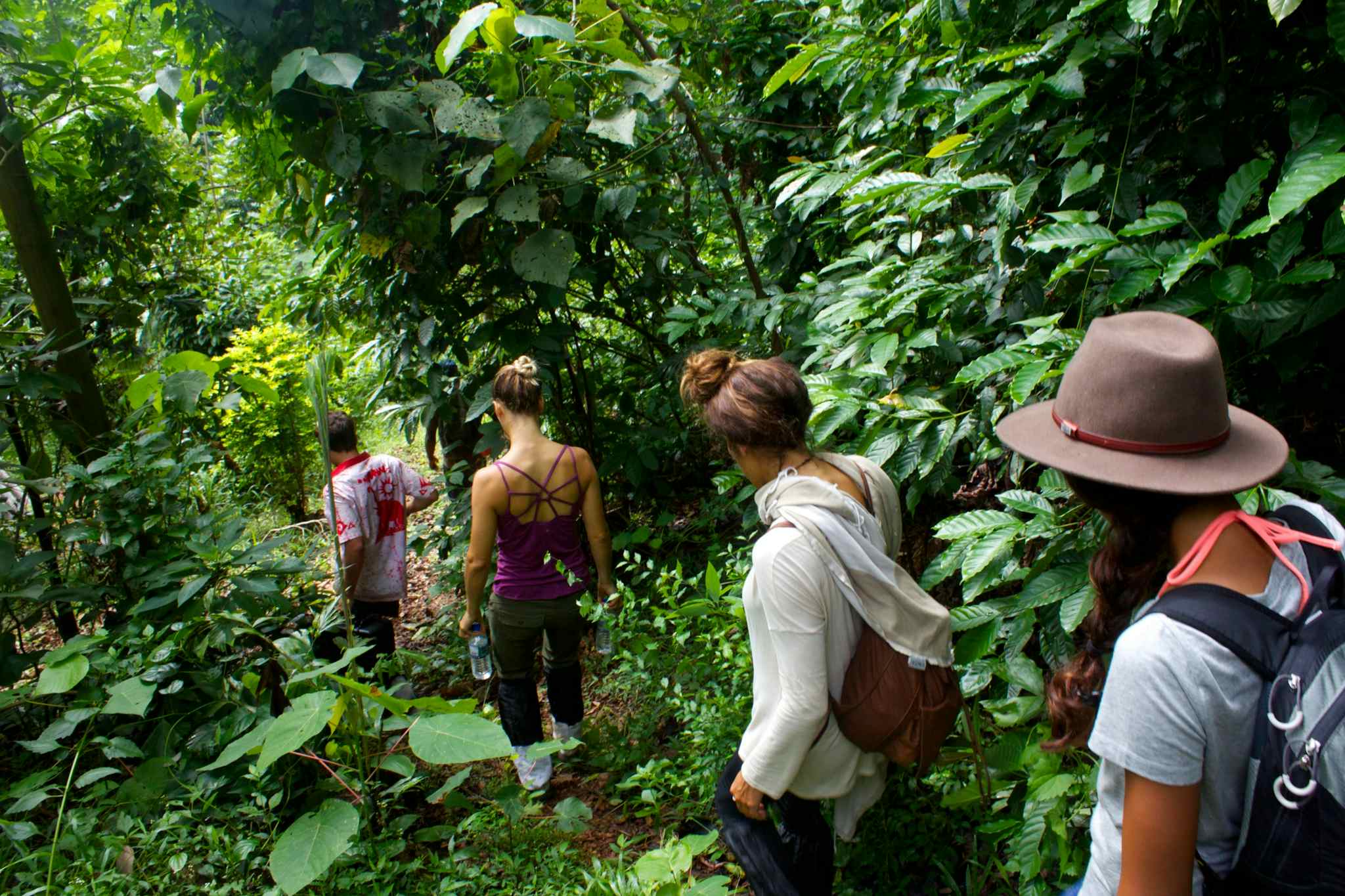 Trekking in the jungles surrounding Kandy, Sri Lanka. Photo: Hotel/Polwaththa Eco-Lodge