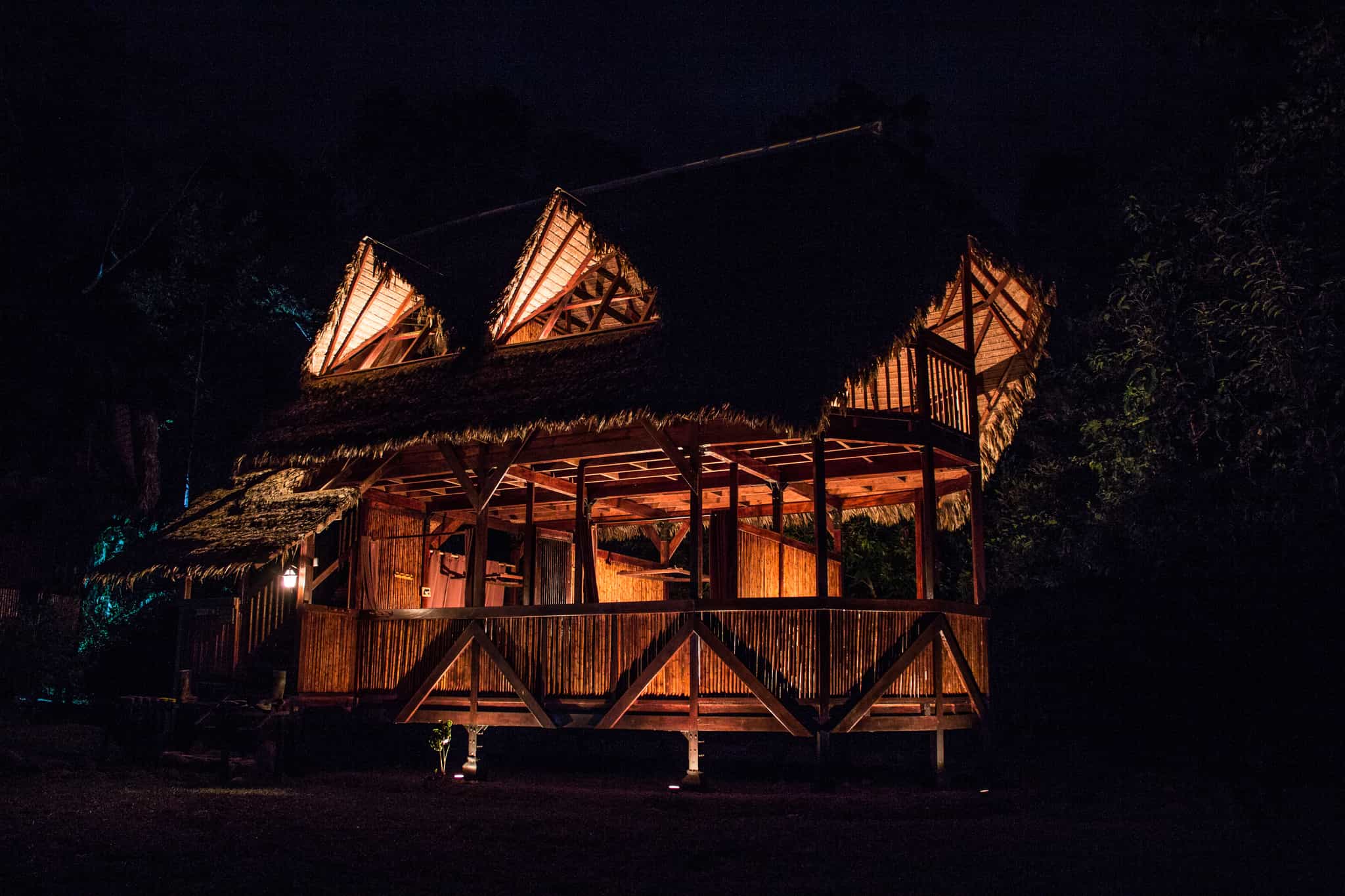 Wildlife Adventure in the Remote Peruvian Rainforest