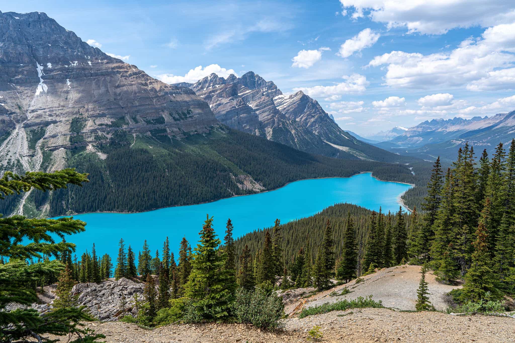 Viewpoint over Peyto Lake, Canadian Rockies.