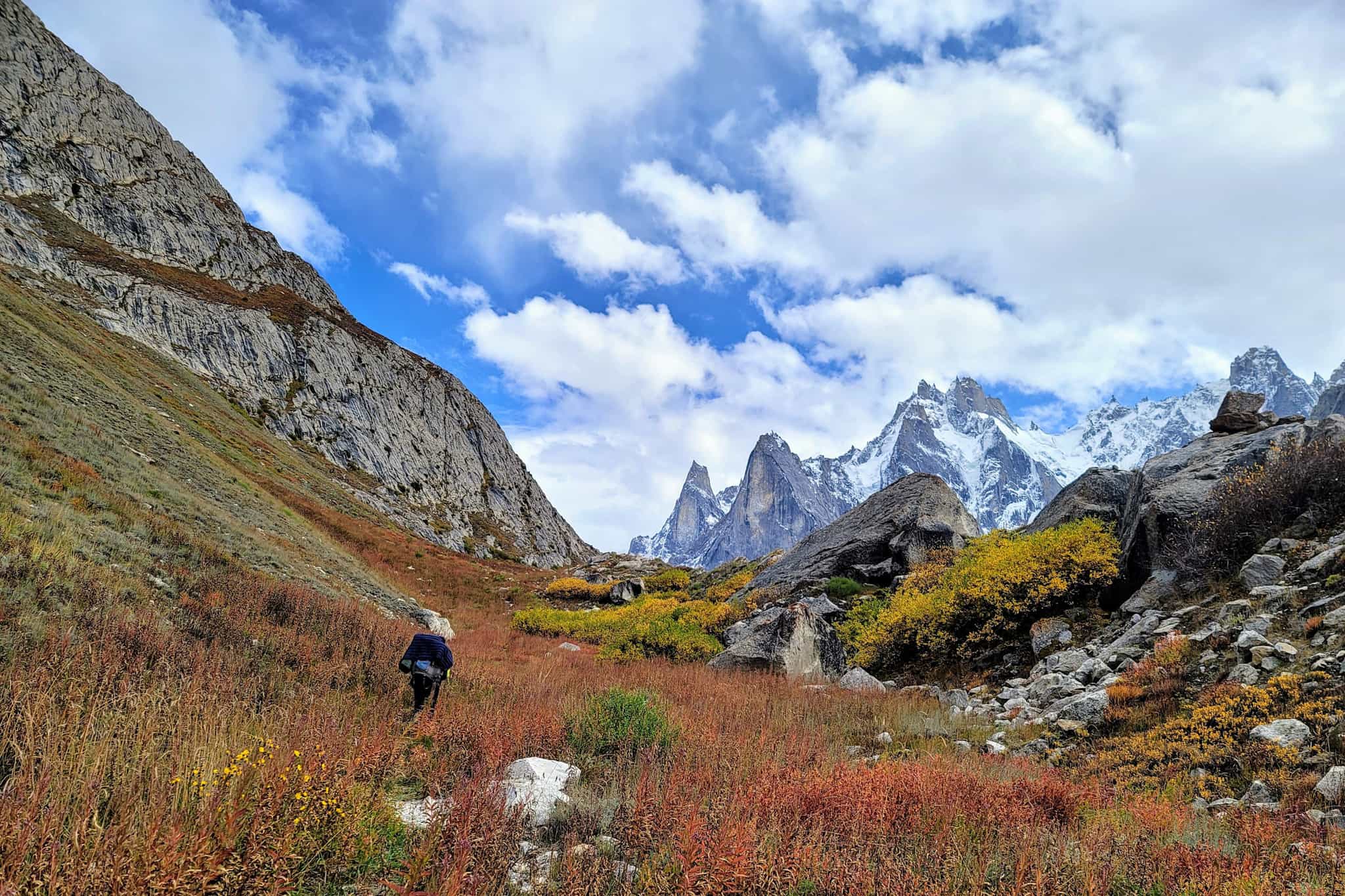 Hiking through the meadows of the Charakusa Valley