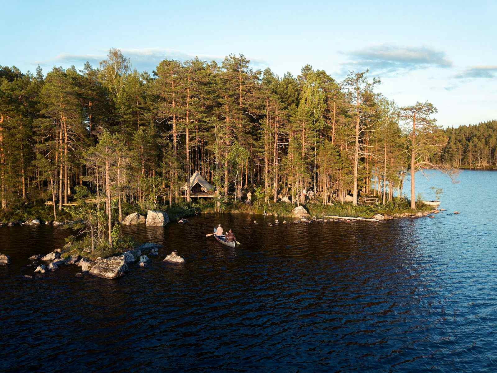 The Wolf Forests of Sweden Threatened by Onshore Wind Farms