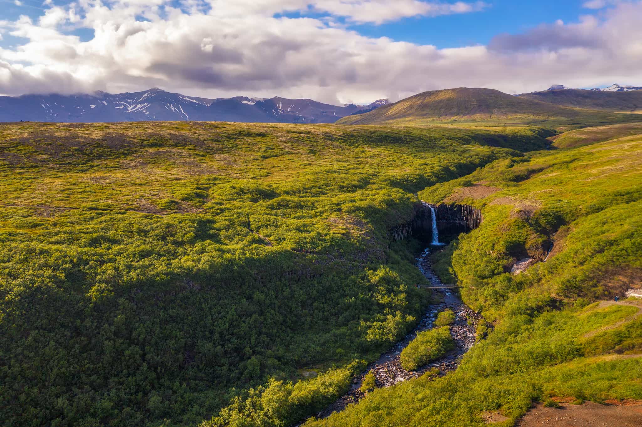 Svartifoss waterfall in Skaftafell National Park, Iceland. Photo: GettyImages-1397181591