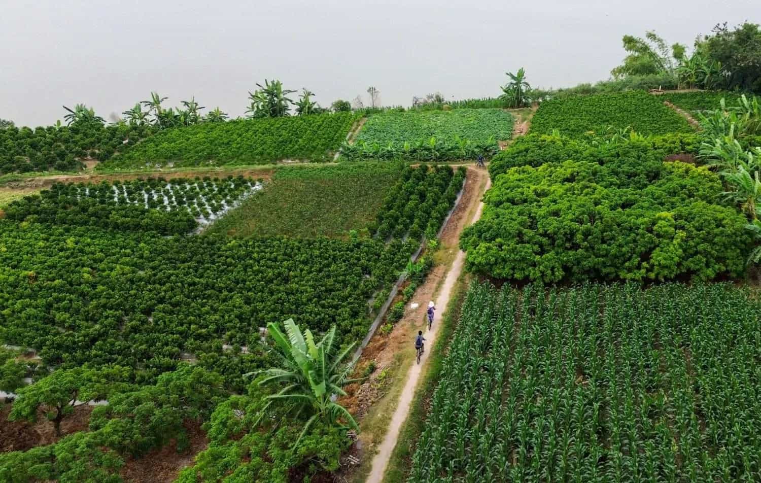 Cycling Co Loa countryside in Vietnam.