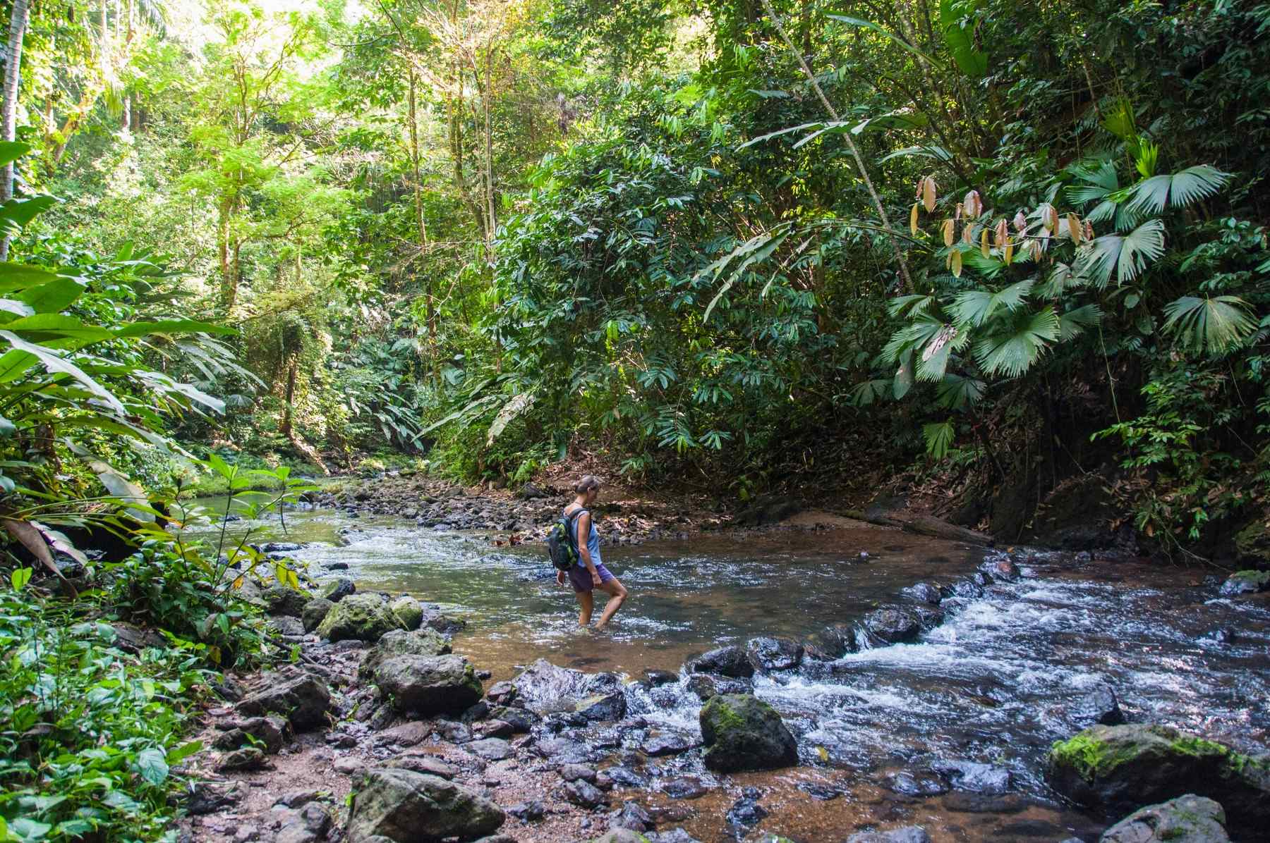 Hiker crossing a river in Costa Rica.