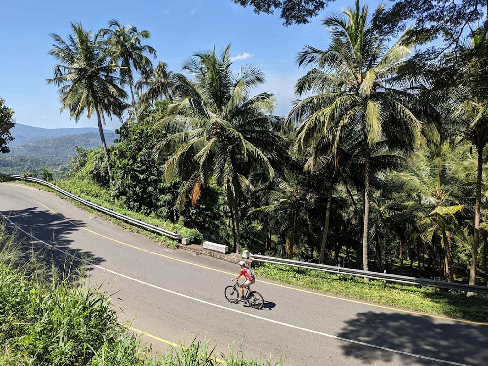 Cyclist on a palm tree lined road in Sri Lanka