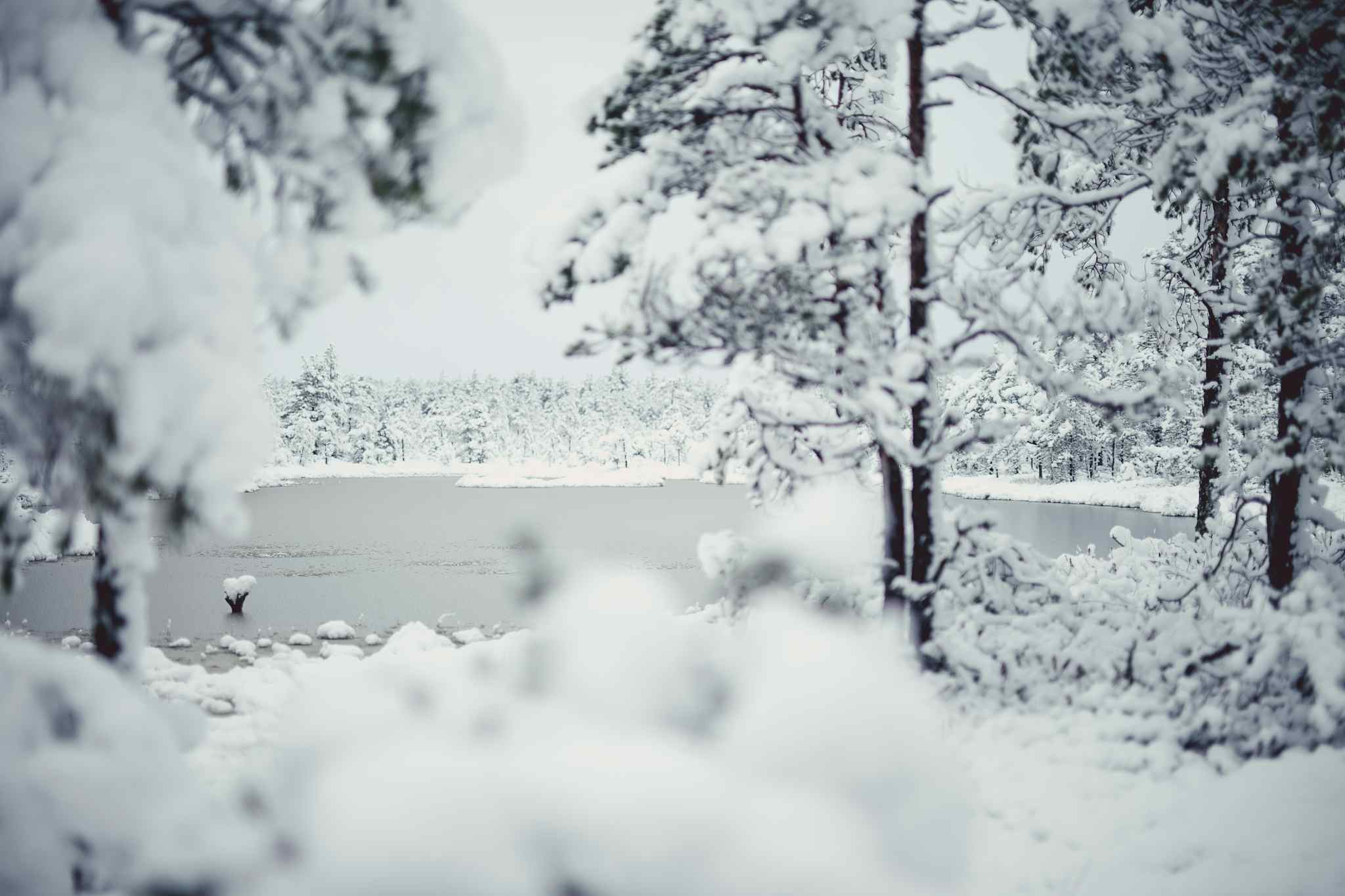 Estonia snowy landscape. Photo: tourism board