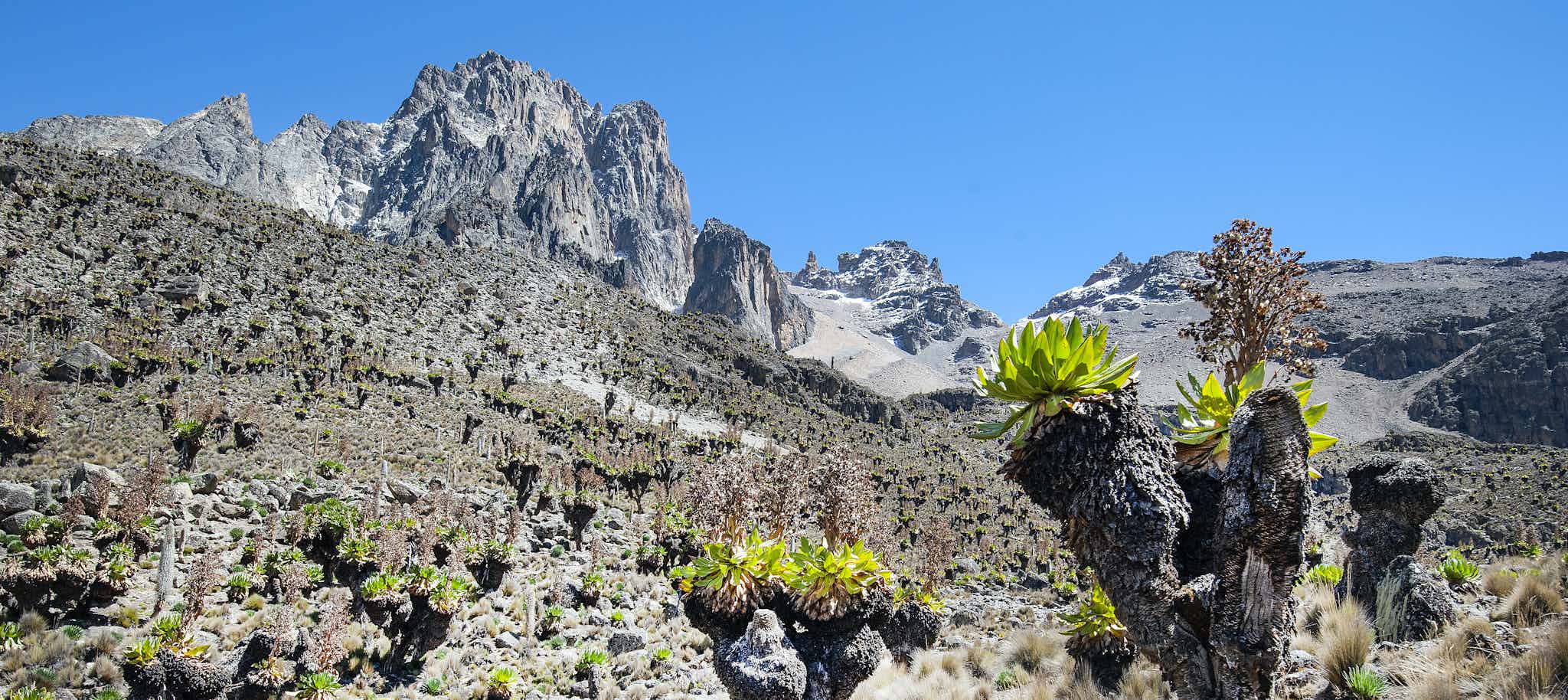 Mount Kenya. Photo: GettyImages-1154993644