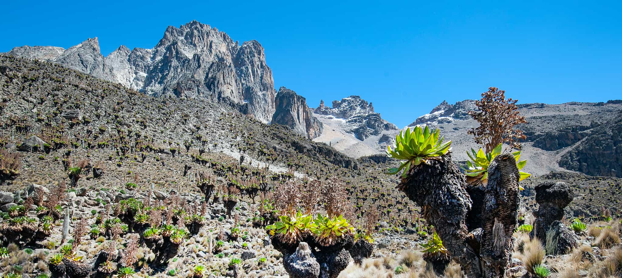 Mount Kenya. Photo: GettyImages-1154993644