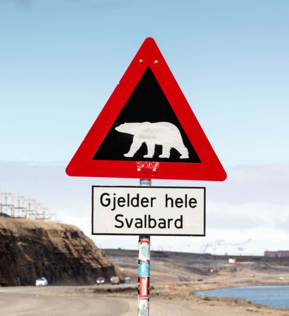  Inside Life on Svalbard: Polar Bears, Glaciers & 24-Hour Daylight