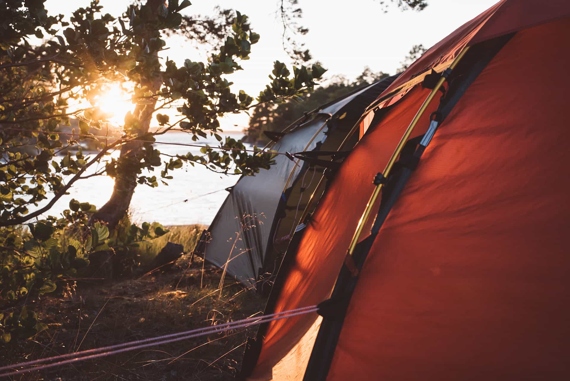 Culinary Kayaking Adventure in Sweden